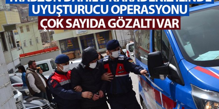 Trabzon dahil 3 Karadeniz ilinde uyuşturucu operasyonu!