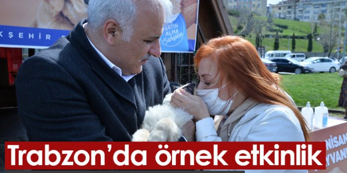 Trabzon'da sokak hayvanları için etkinlik