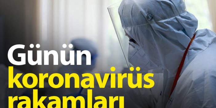 Türkiye'nin koronavirüs raporu - 12.04.2022