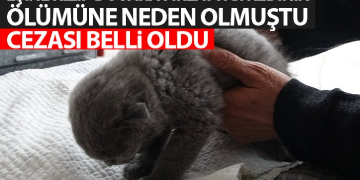 Trabzon'da eşine kızıp kediyi duvara fırlatmıştı! Hapis cezası aldı