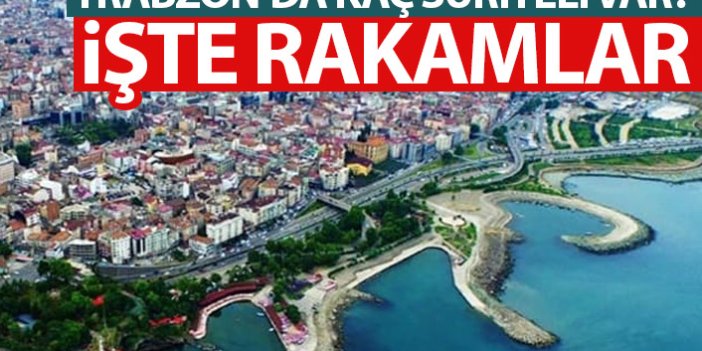 Trabzon'da kaç Suriyeli var? İşte rakamlar