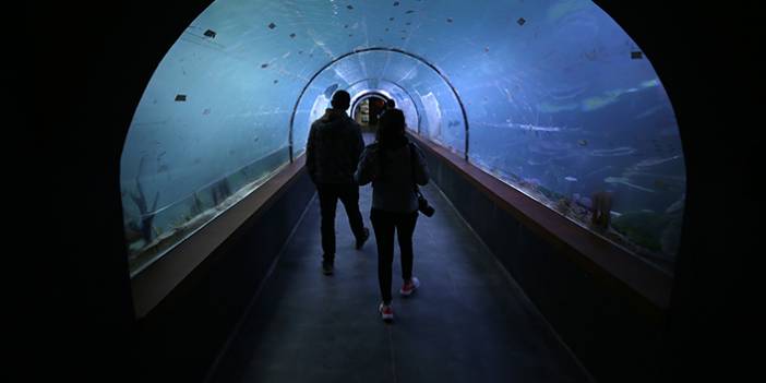 "Tünel Akvaryum" misafirlerini ağırlayacak! İşte detaylar fotoğraflar