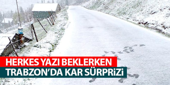 Herkes yazı beklerken Trabzon'da kar sürprizi