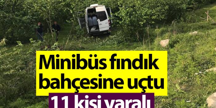Ordu'da minibüs fındık bahçesine uçtu! 11 kişi yaralı