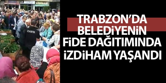Trabzon'da Belediyenin fide dağıtımında izdiham