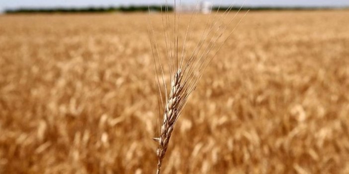 Rusya ve BM'den 'tahıl krizi' zirvesi