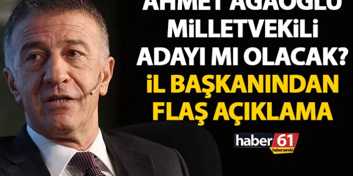 Ahmet Ağaoğlu milletvekili adayı mı olacak? İl başkanından flaş açıklama