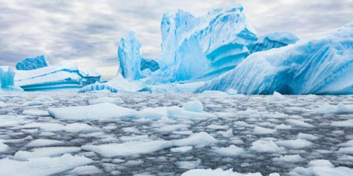 Antarktika'da gizli bir yaşam alanı keşfedildi