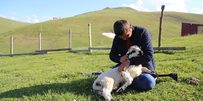 Gümüşhaneli çoban 26 yıldır tek bacağıyla hayvanlarını otlatıyor