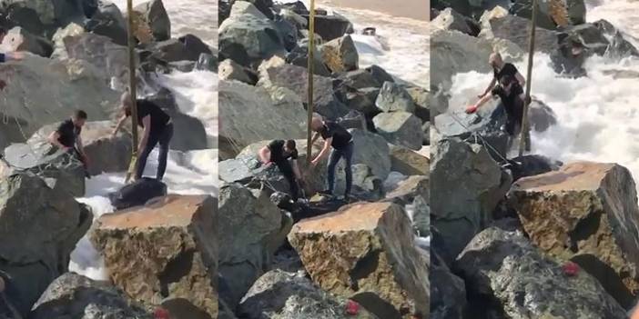 Rize'de kurbanlık boğa denize düştü! Vatandaşlar seferber oldu