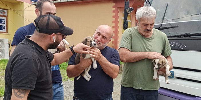 Dereye düşen köpek ve yavrularını vatandaşlar kurtardı