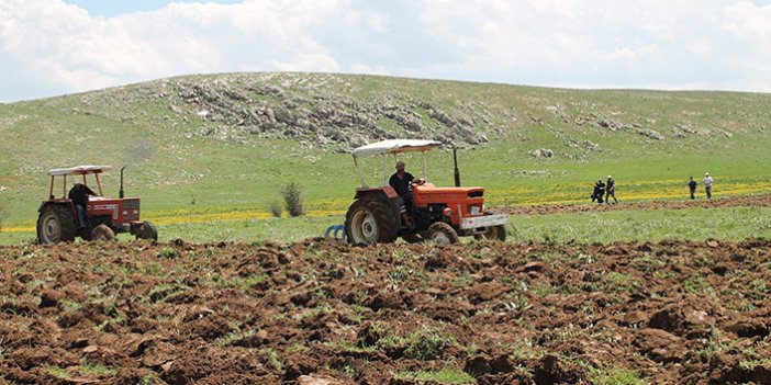 Bayburt 35 yıldır boş duran araziler yeniden ekiliyor