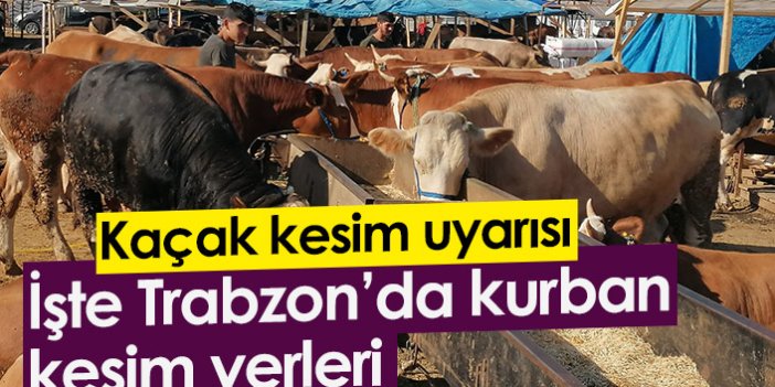 Trabzon'da kurban kesim yerleri belli oldu! Kaçak kesim uyarısı