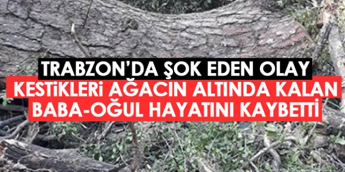 Trabzon'da şok olay! Kestikleri ağacın altında kalan baba oğul hayatını kaybetti