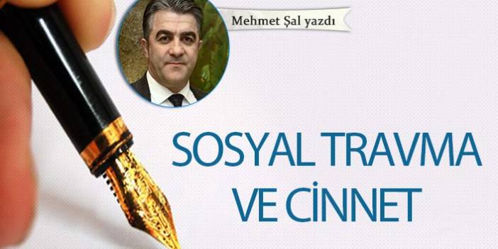 Mehmet Şal Yazdı "Sosyal travma ve cinnet"