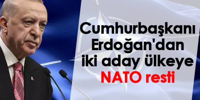 Cumhurbaşkanı Erdoğan'dan iki aday ülkeye NATO resti