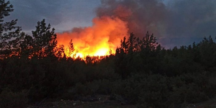 İçişleri Bakanlığı'ndan 81 ilde Orman yangını genelgesi! Ormanlara girişler yasaklandı