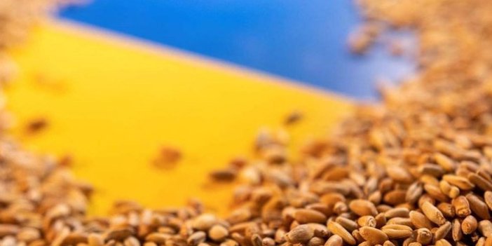 Ukrayna'dan tahıl sevkiyattı için imzalar atılıyor