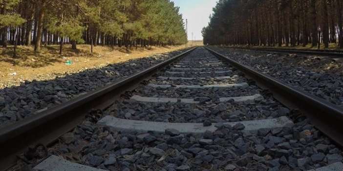 Trabzon Demiryolu projesinin kaydırılma endişesi!