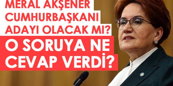 Meral Akşener cumhurbaşkanı olacak mı?