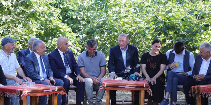 Cumhurbaşkanı Erdoğan fındık bahçesinde. Video Haber
