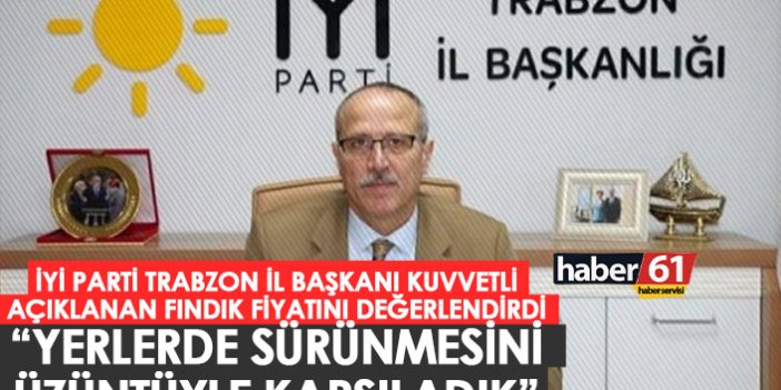 İYİ Parti Trabzon İl Başkanı Kuvvetli: "Fındığın yerlerde sürünmesini üzüntüyle karşıladık"