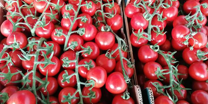 Trabzon’da Melikköy domatesine büyük talep! Lezzeti damakta kalıyor