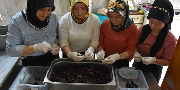 Karadenizli kadınlar tescilli lezzet "taflan turşusu"nun yapımına başladı