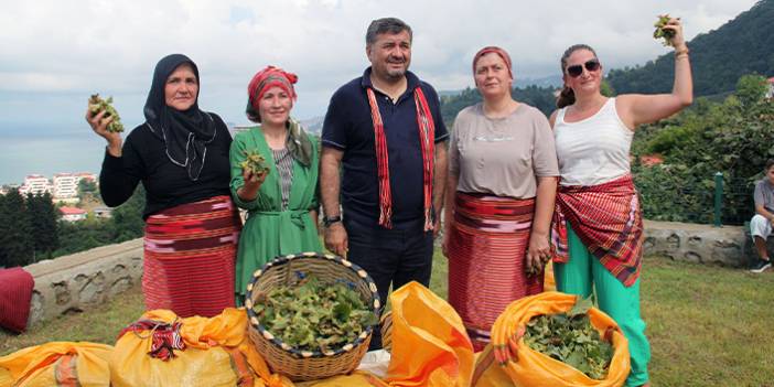Giresun'da "fındık hasat şenliği" düzenlendi