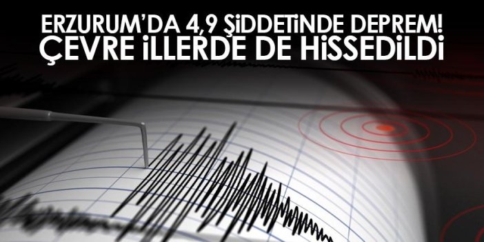 Erzurum'da 4,9 büyüklüğünde deprem oldu