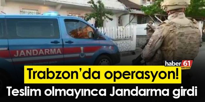 Trabzon’da operasyon! Teslim olmayınca Jandarma girdi
