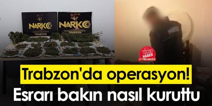 Trabzon'da operasyon! Esrarı bakın nasıl kuruttu - 06 Ekim 2022