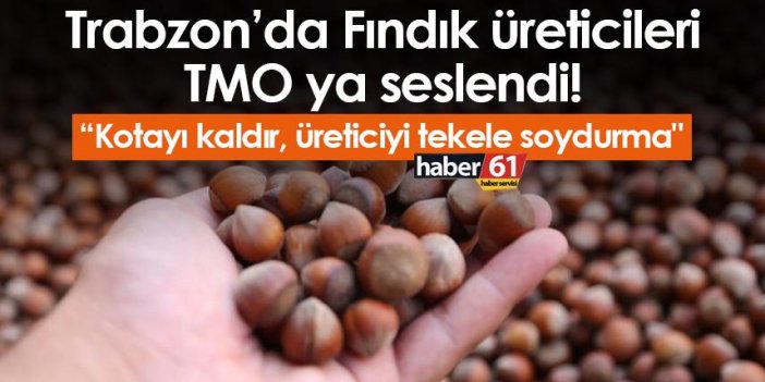 Trabzon’da Fındık üreticileri TMO ya seslendi! “Kotayı kaldır, üreticiyi tekele soydurma"