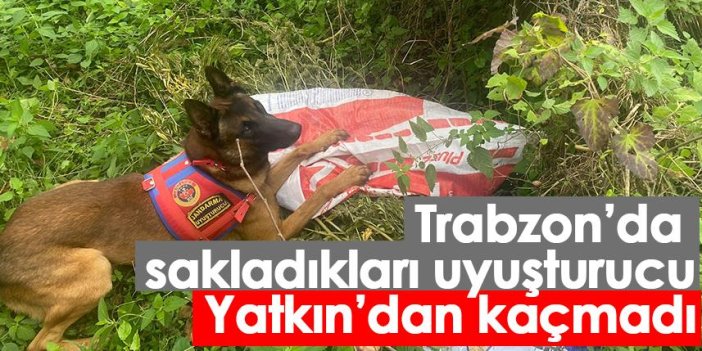 Trabzon’da  sakladıkları uyuşturucu Yatkın’dan kaçmadı