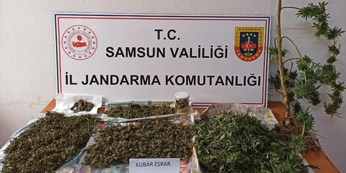 Samsun'da jandarmadan uyuşturucu operasyonu: 2 gözaltı