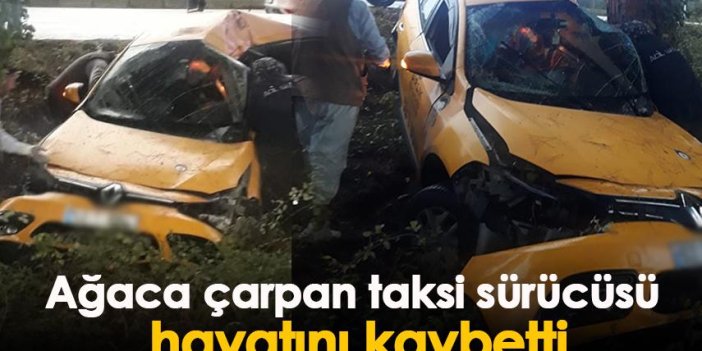 Samsun'da ağaca çarpan taksi sürücüsü hayatını kaybetti