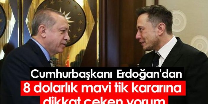 Cumhurbaşkanı Erdoğan'dan 8 dolarlık mavi tik kararına dikkat çeken yorum