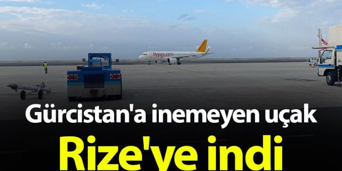 Gürcistan'a inemeyen uçak Rize'ye indi