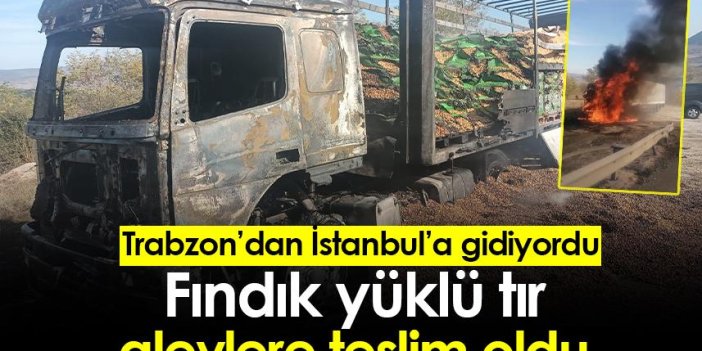 Fındık yüklü tır alevlere teslim oldu! Trabzon'dan İstanbul'a gidiyordu