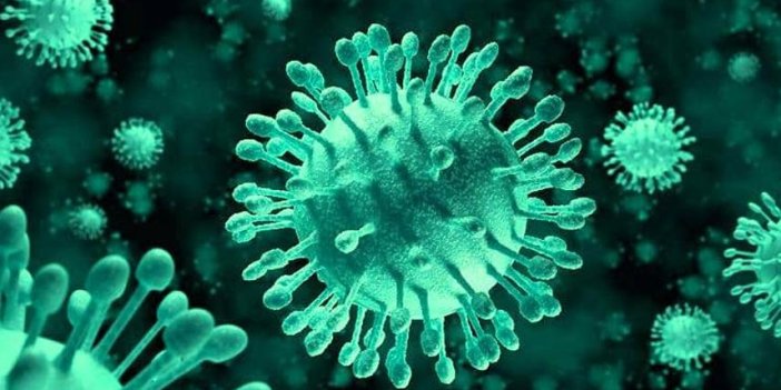 Soğuk algınlığı etkisi yaratan RSV virüsü nedir? Belirtileri nelerdir?