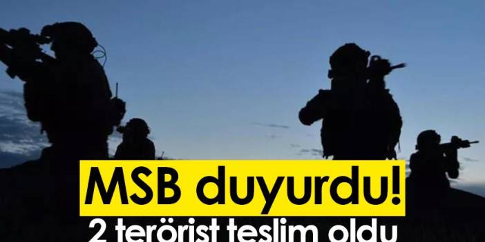 MSB duyurdu! 2 terörist teslim oldu. 9 Kasım 2022