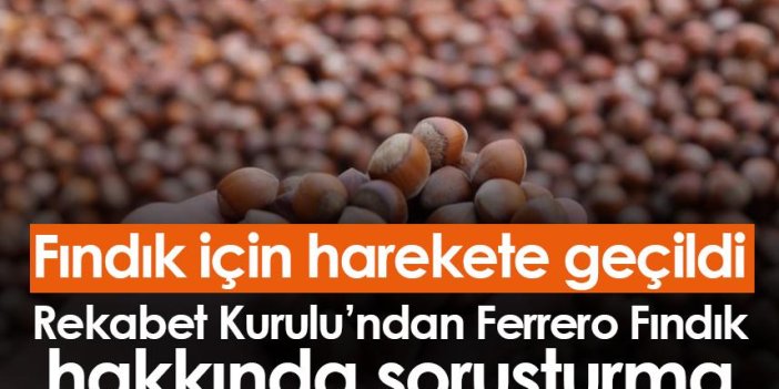 Fındık için harekete geçildi! Rekabet Kurulu'ndan Ferrero Fındık hakkında soruşturma