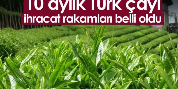 10 aylık Türk çayı ihracat rakamları belli oldu