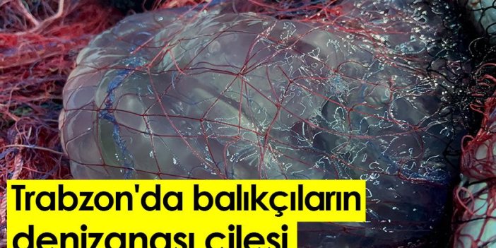 Trabzon'da balıkçıların denizanası çilesi