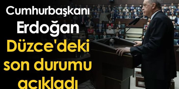 Cumhurbaşkanı Erdoğan, Düzce'deki son durumu açıkladı