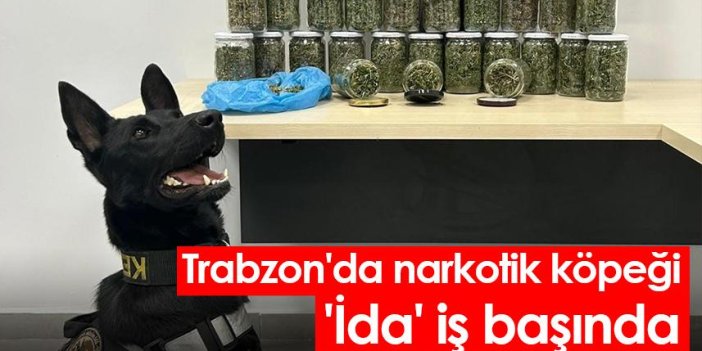 Trabzon'da narkotik köpeği 'İda' iş başında