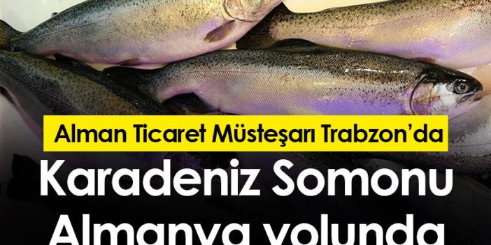 Karadeniz Somonu Almanya yolunda! Alman Ticaret müsteşarı Trabzon'da