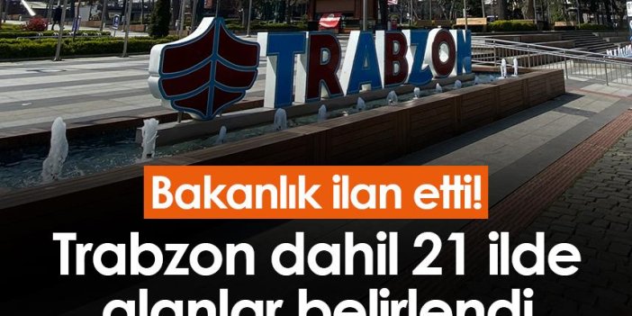 Bakanlık ilan etti! Trabzon dahil 21 ilde alanlar belirlendi