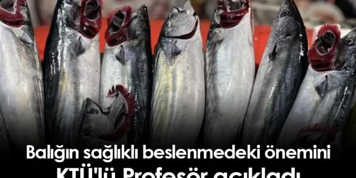 Balığın sağlıklı beslenmedeki önemini KTÜ'lü Profesör açıkladı