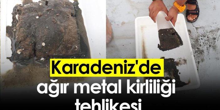 Karadeniz'de ağır metal kirliliği tehlikesi